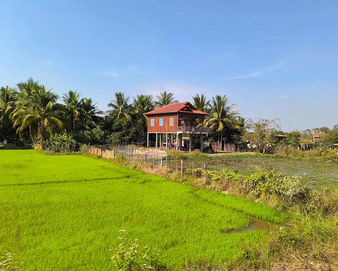 Cambodian Countryside