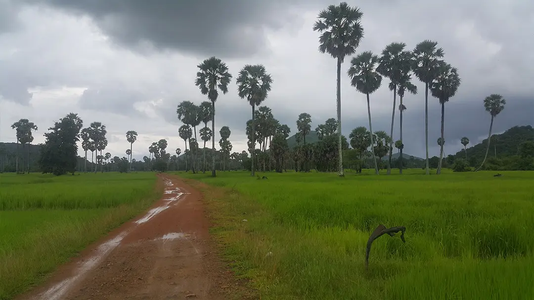 Rural Roads